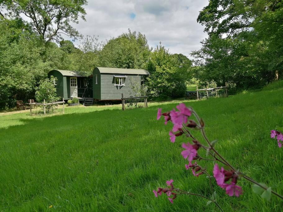 Penn Bergeyn Shepherd'S Huts Exeter Zewnętrze zdjęcie