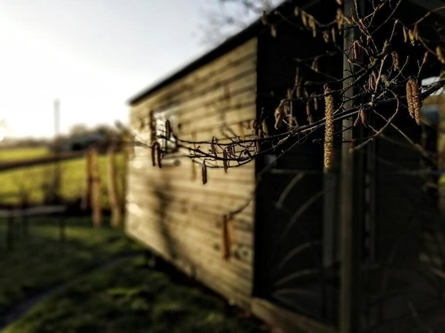 Penn Bergeyn Shepherd'S Huts Exeter Zewnętrze zdjęcie