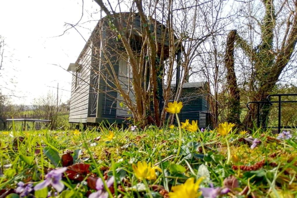 Penn Bergeyn Shepherd'S Huts Exeter Zewnętrze zdjęcie